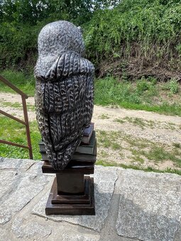 Dřevěná socha Sova - 5