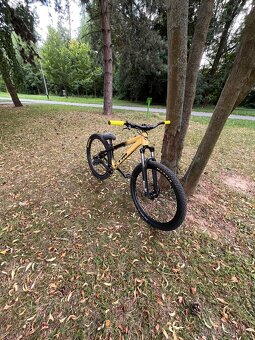 Ctm Dirt - 5