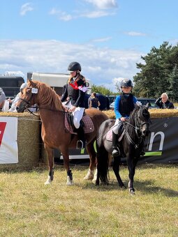 100% kobyla pro děti i dospělé - 5