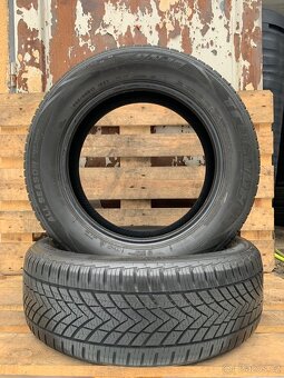 2ks 225/60/17 Tracmax/2021/103V/celoročně 6.9m - 5