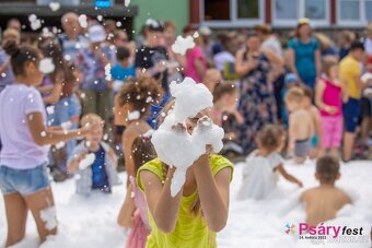 Hledáme stážistu - pomoc se zajištěním festivalu - 5