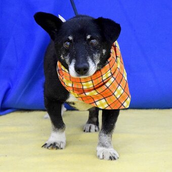 Leoš hledá domov - 5