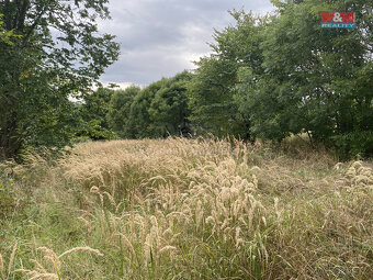 Prodej pozemku k bydlení, 3751 m², Sosnová - 5