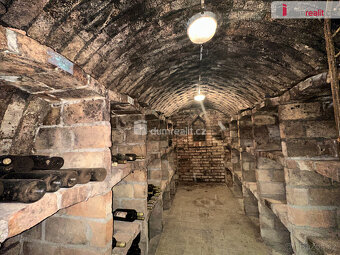 Vinný sklep s projektem, Čejkovice - 5