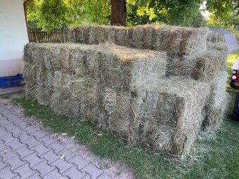 Ručně sušené seno - 5