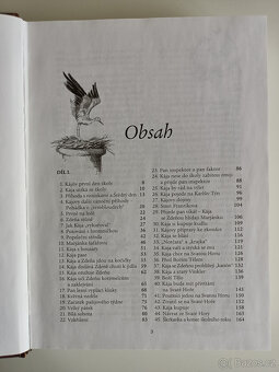 Školák Kája Mařík/ Felix Háj/ I-IV. díl/ 2010 - 5
