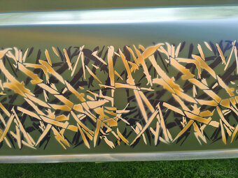 Laminátová pramice NORTON 310 (dvouplášťová) - 5