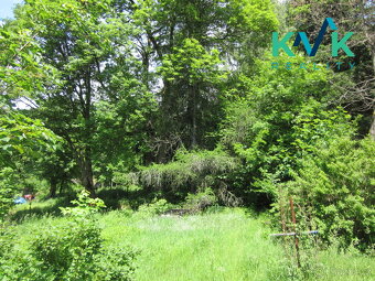 Prodej pozemku o velikosti 3 489 m2, v OV, Tisová u Nejdku - 5
