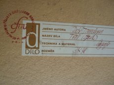 Obraz,pasparta -litografie  "Petr Tamchyna - Tvář" - 5