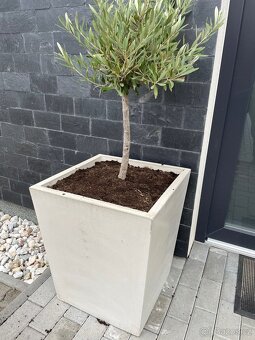 Zahradní betonový květináč - 5