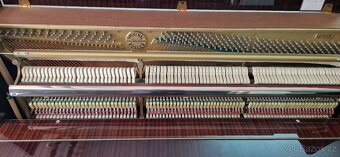 Piano Rösler - Petrof z r. 1995 - 5