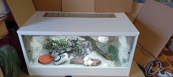 Terárium - 5