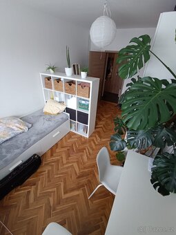 Pronájem bytu 3+kk - 5