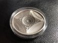 Stříbrná mince Sacré Coeur Basilica 100gr Ag Antique Finish - 5