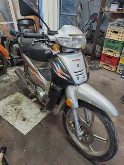 Yuki 100 4.-kvalt s TP - 5
