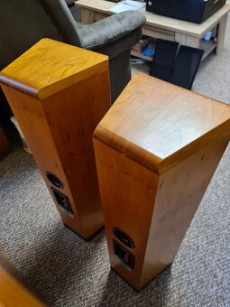 Tannoy D300 - 5