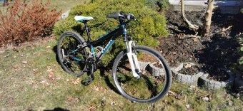 Trek Superfly 24" - 5