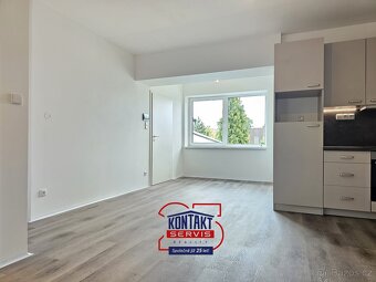 Pronájem nově rekonstruovaného bytu 3+kk, 53 m2 - České Budě - 5