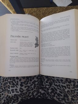 Magické rostliny - 5