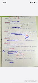 Modelovky na 1. LF s vyřešenými otázkami a příklady - 5