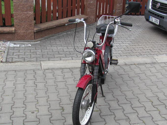 Výnová Babeta - r.v.93 - 5