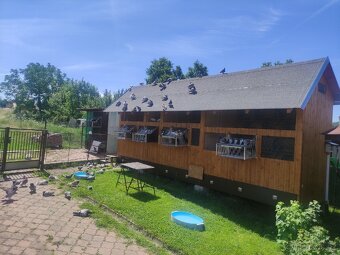 Holubnik 2,1×7,2 metru - 5