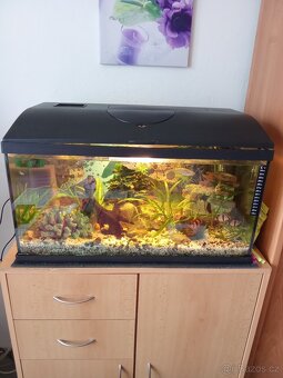 Prodám dvě akvária kompletni - 5