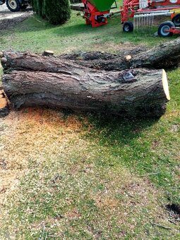 Kmen třešně, dřevo na uzení - 5