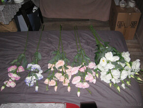 KYTICE 13-TI KS EUSTOMA V RUZNYCH BARVACH - NOVE - 5