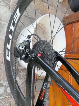 Cipollini - 5