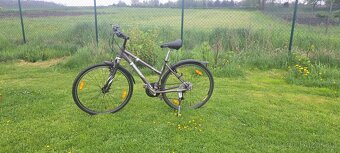 Wheeler cross 36 - 5