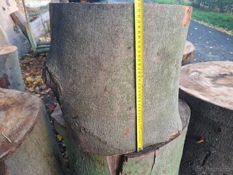 Špalek na štípáni dřeva - bukový - 5