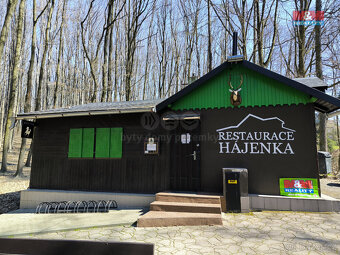 Prodej restaurace, stravování, 330 m², Orlová, ul. Modřínová - 5
