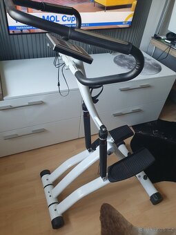 Stepper BAILAR Insportline - 5