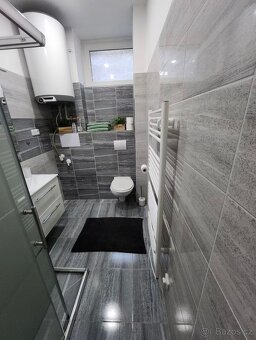 Pronájem 1+1 plně vybaven - 5