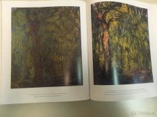 Monet in the 20th century - P. H. Tucker - 5