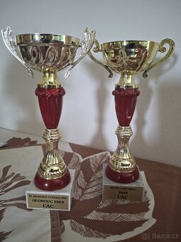 Krásné poháry - 5