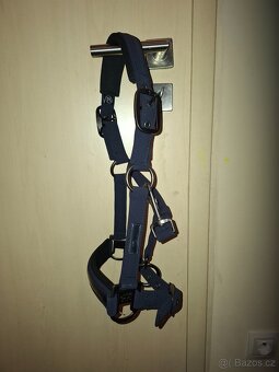 Eskadron ohlavka Pony Nová - 5