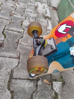 longboard - 5