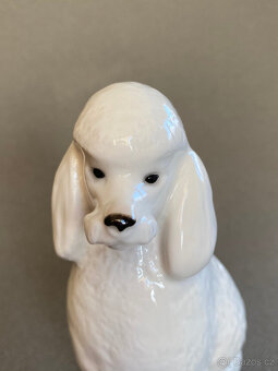 Porcelánová soška Sedící pudl 15 cm, LFZ Lomonosov - 5