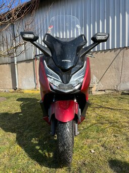 Honza Forza 125 - 5