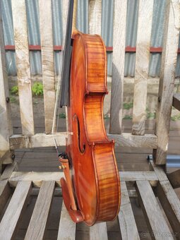 Viola 41cm - 5