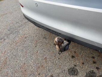 Prodam skoda scala 1,6 tdi, 2020 - 5