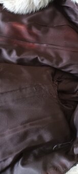 Kanadská přírodní bílá liška - 5