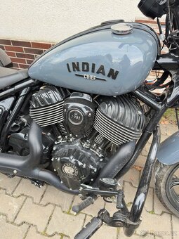 Indian Chief Dark Horse - 5