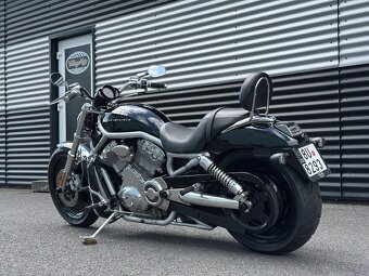 H-D V-ROD (2002) - 5