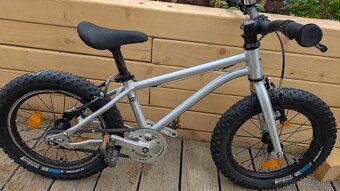 Early Rider Seeker 16" - 5