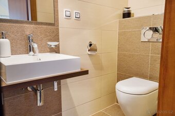 Prodej chaty na pronájem i s profily Airbnb, Booking - 5