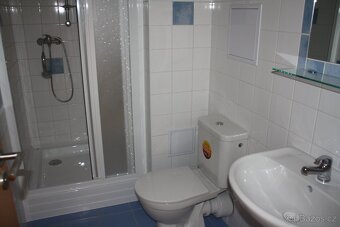 Pronájem bytu 1KK, Brno- Hálkova - 5