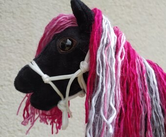 Hobby horse - 5